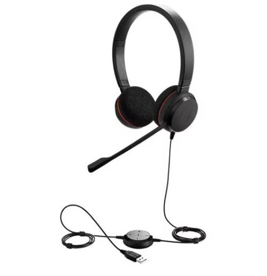 Imagen de AURICULAR EVOLVE 20