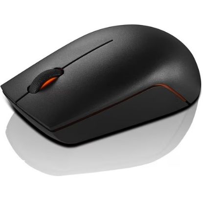 Imagen de MOUSE 300