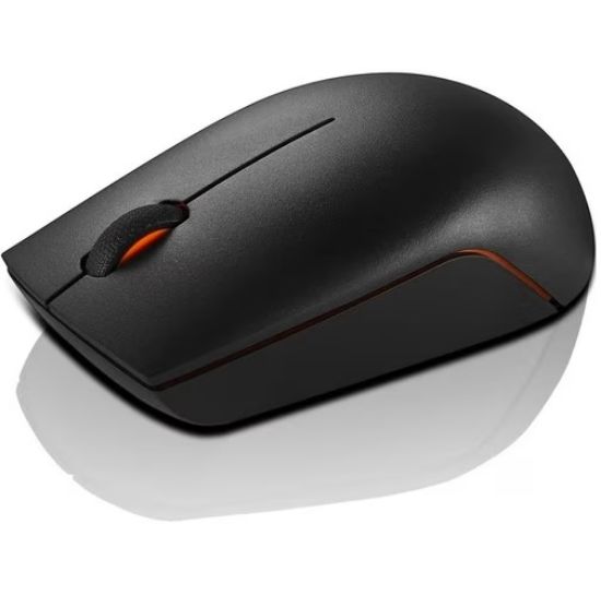 Imagen de MOUSE 300